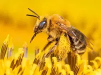 Are crops worldwide sufficiently pollinated?