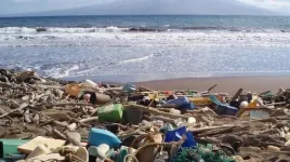 Are plastics and microplastics in the Ocean on the increase?