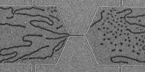 Argonne scientists announce first room-temperature magnetic skyrmion bubbles