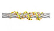 Armchair science: DNA strands that select nanotubes are first step to a practical quantum wire