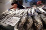 Around 40 percent of hake is mislabeled