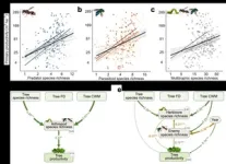 Arthropods in high-diversity forests contribute to improved productivity 3