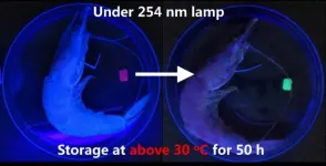 Artificial color-changing material that mimics chameleon skin can detect seafood freshness