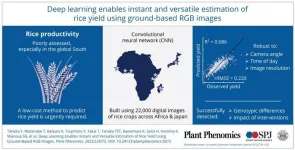 Artificial intelligence can now estimate rice yields, according to new study