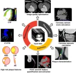 Artificial intelligence helps coronary CT angiography and accelerates the development of precision medicine