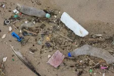 Artificial intelligence predicts the influence of microplastics on soil properties