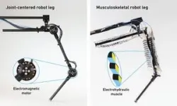 Artificial muscles propel a robotic leg to walk and jump 2