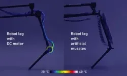 Artificial muscles propel a robotic leg to walk and jump 3