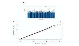 Association between neighborhood deprivation and DNA methylation in an autopsy cohort