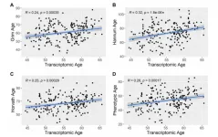 Association of inflammatory and metabolic biomarkers and accelerated aging in cardiac catheterization patients