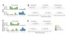 Association of prenatal vitamins and metals with epigenetic aging at birth and in childhood