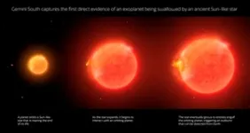 Astronomers witness star devouring planet: possible preview of the ultimate fate of Earth 2