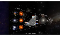 Astronomers witness the in situ spheroid formation in distant submillimetre-bright galaxies