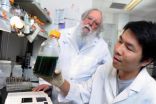 ASU scientists bring the heat to refine renewable biofuel production