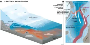 Atmospheric blocking slows ocean-driven melting of Greenland’s largest glacier tongue