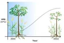 Atmospheric drying will lead to lower crop yields, shorter trees across the globe