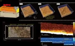 Atomic force microscopy upgrade captures 3D images of calcite dissolving 2