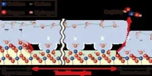 Atomic force microscopy upgrade captures 3D images of calcite dissolving 3