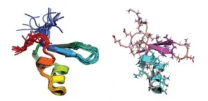 Atomic techniques reveal the evolution of a bacterial protein