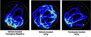 Auburn researchers show novel drug rescues memory loss in Alzheimer’s mouse model