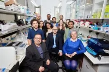 Autism and nitric oxide: Professor Haitham Amal unveils brain disorder breakthrough 2