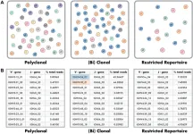 Automated, accurate reporting for NGS-based clonality testing