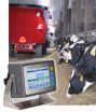 Avery Weigh-Tronix Feed Foreman Provides Cost-Efficient, Easy-To-Use Ration Management Solution