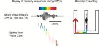 Awake mental replay of past experiences critical for learning