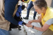 Awareness of rocky mountain spotted fever saves lives