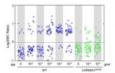 B cells produce antibodies when danger calls, but not when it whispers