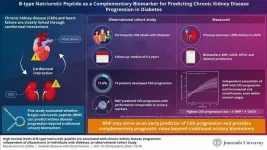 B-type natriuretic peptide as a predictor of kidney disease progression in diabetes