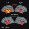 Babies process language in a grown-up way