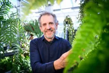 Back from the dead: Tropical tree fern repurposes its dead leaves