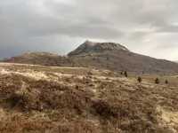 Bacteria and algae get rides in clouds