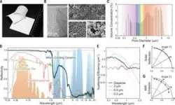 Bacteria load their syringes 3