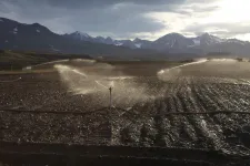 Bacteria used to clean diesel-polluted soil in Greenland