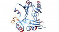 Bacterial superbug protein structure solved