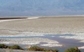 Badwater Basin: Death Valley microbe thrives there