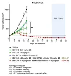 Based on AI-powered De novo Generation, Insilico Medicine nominates ISM1745 as preclinical candidate targeting PRMT5