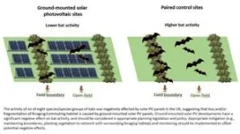 Bat activity lower at solar farm sites, study finds 2