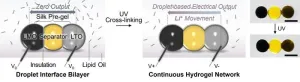 Batteries for miniature bio-integrated devices and robotics — here’s how to do it