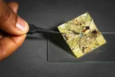 Battery-free robots use origami to change shape in mid-air 2