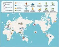 Becoming human: An ancient genome perspective