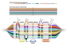 Behind the scenes of a major genomic discovery