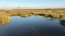 Being prepared for storm surges on the Baltic Sea coast