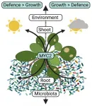 Belowground microbial solutions to aboveground plant problems