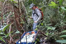 Beneath the bog: FAU awarded $1.3 million to track carbon and gas flow in peatlands