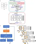 Better and faster design of organic light-emitting materials with machine learning and quantum computing