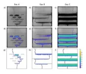 Better carbon storage better carbon storage with stacked geology with stacked geology 2