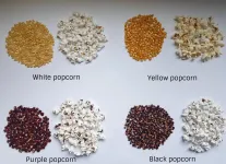 Better popping potential for popcorn